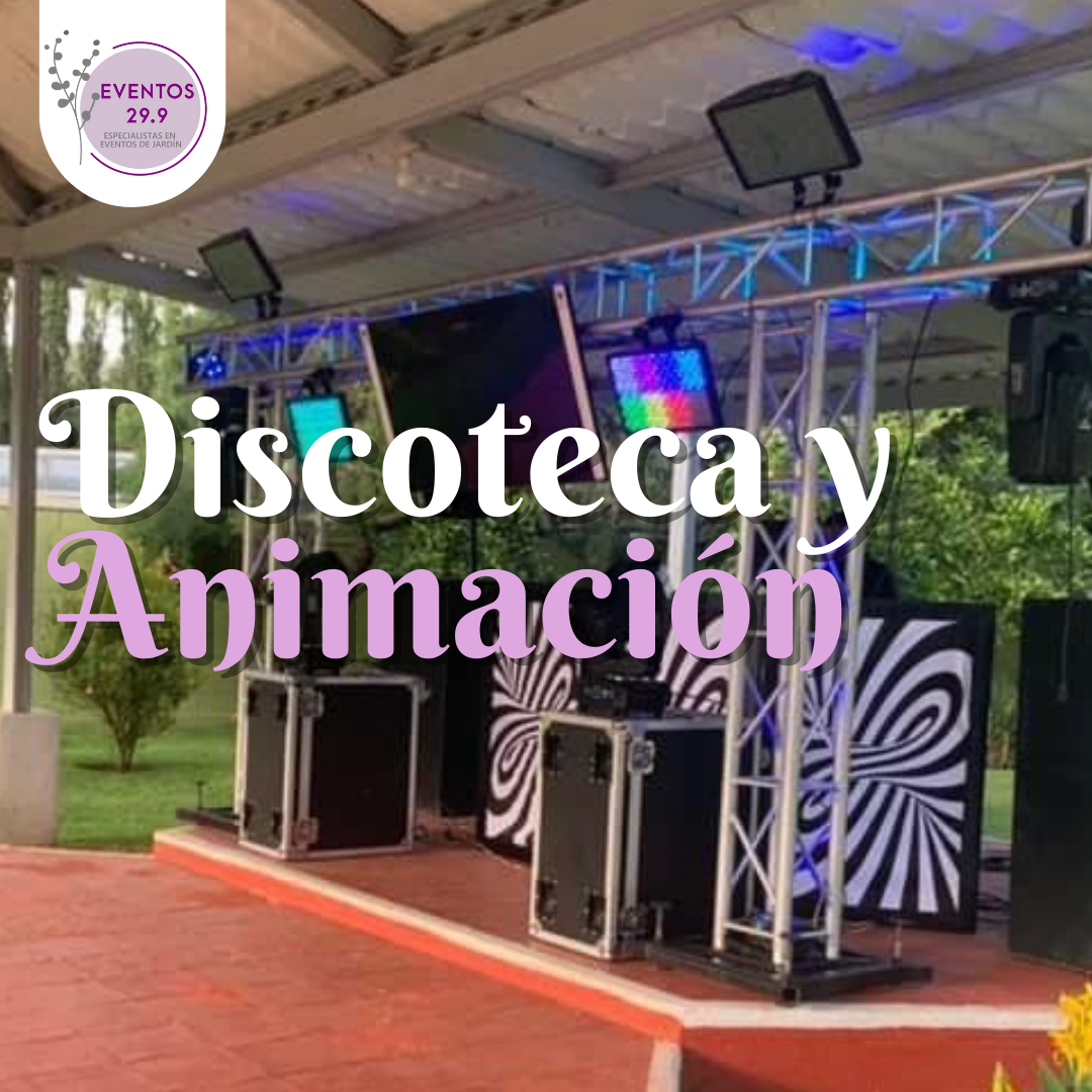 Discoteca y animación